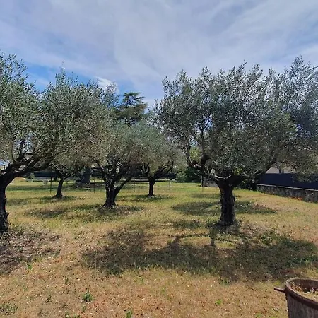 Villa Les Oliviers Orange (Vaucluse)